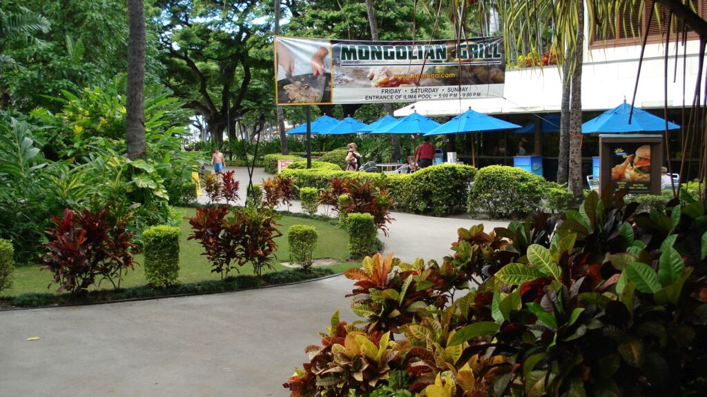 Ariail-Beautiful-0000-Landscape-0216