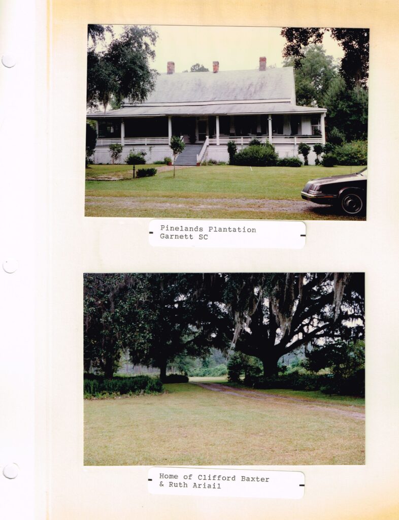 Plantation-Pinelands-0000-Home-0283