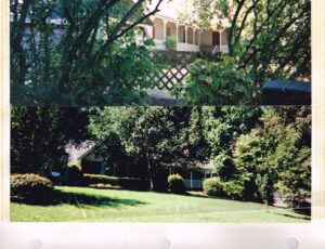 Ariail-Top-0000-Home-0337