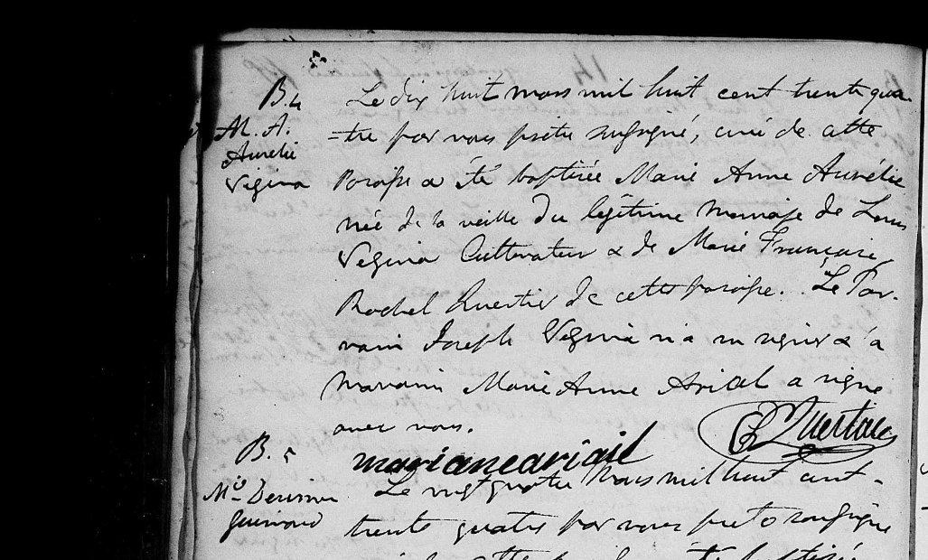 Ariail-This-0000-Document-0364