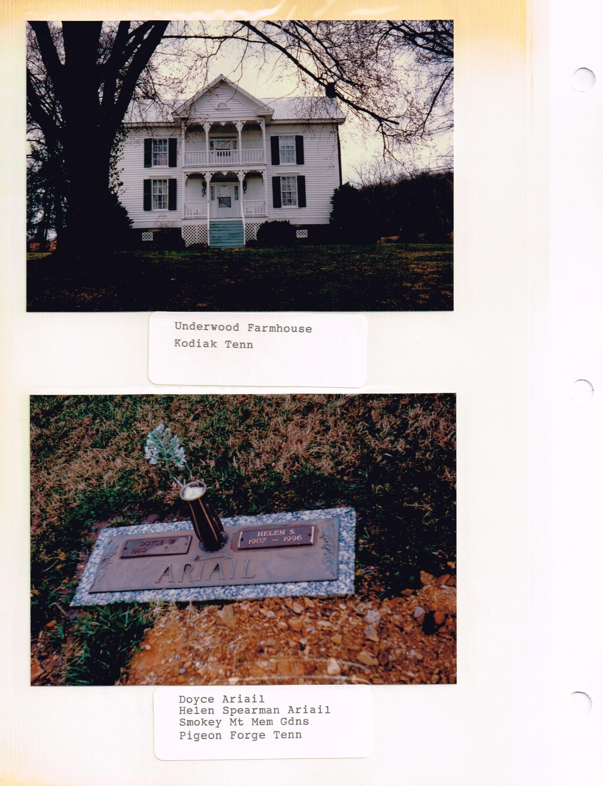 Doyce William Ariail