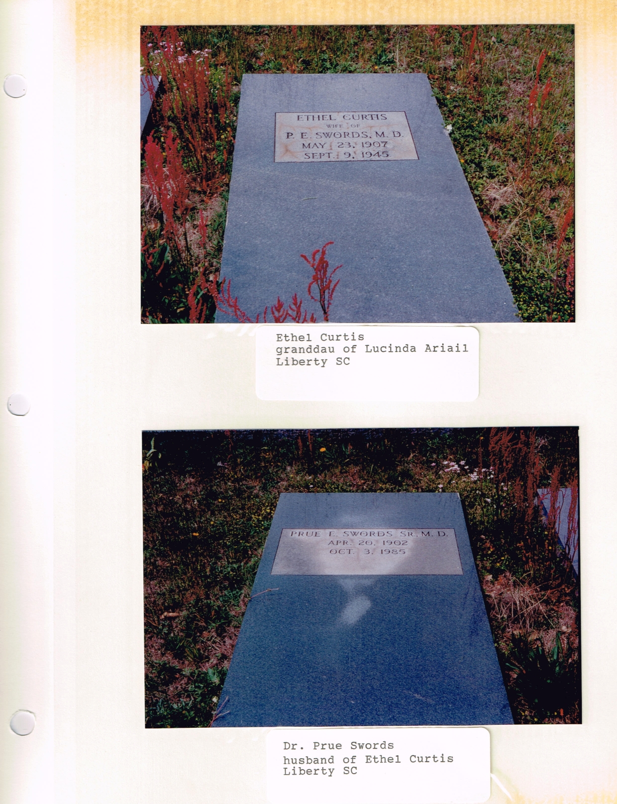 Ethel Rebecca Curtis