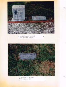 Lillie Beatrice Ariail Styron Pryor