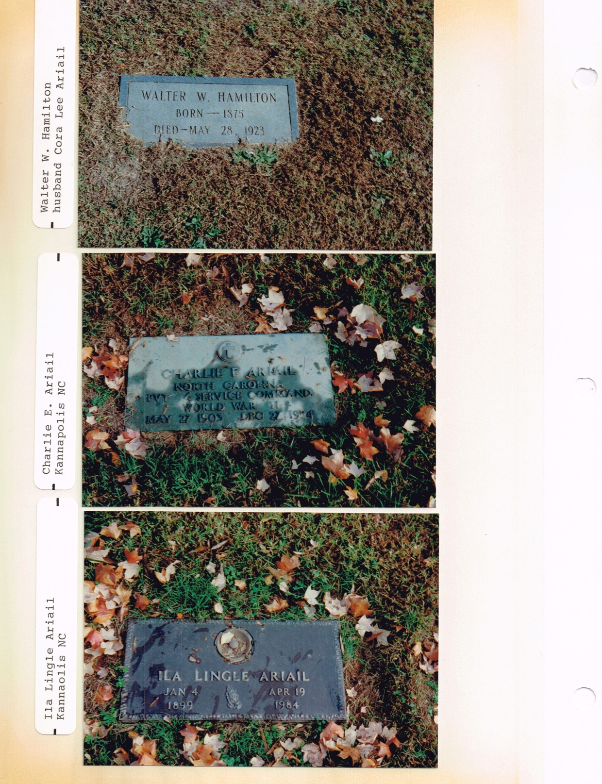 Walter Watson Hamilton